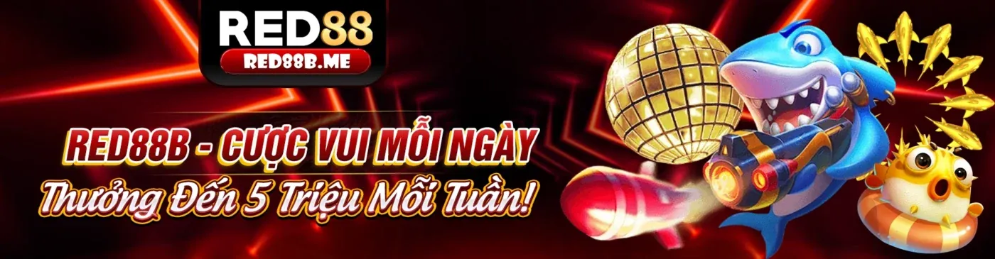 Hình ảnh chính về cách chọn nền tảng cá cược đáng tin cậy Kim99
