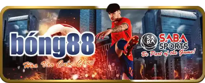 Cá cược tennis đỉnh cao